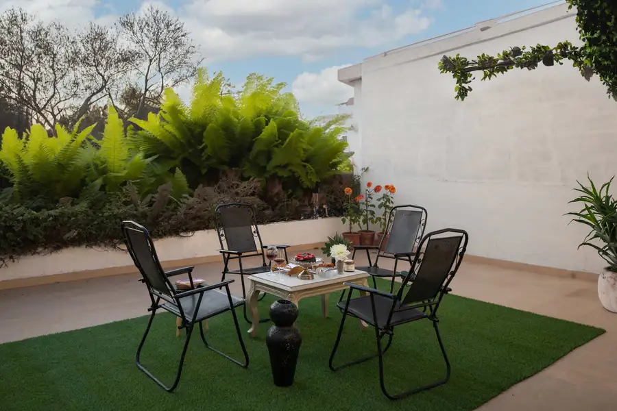 Fiddle Leaf Home, Amritsar