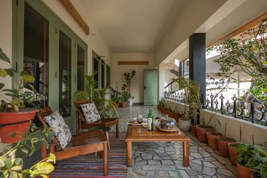 Fiddle Leaf Home, Amritsar