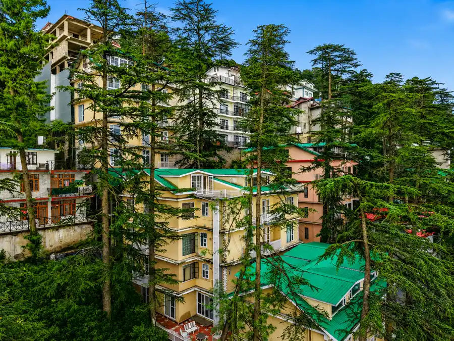 Fir Holiday In Homestay, Shimla