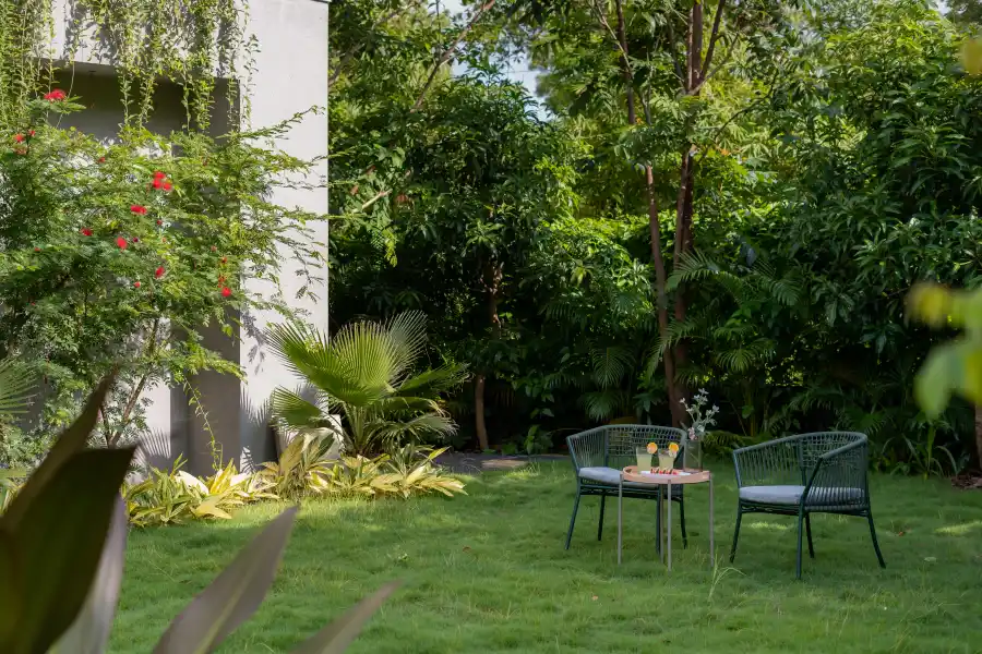 Firefly, Alibaug