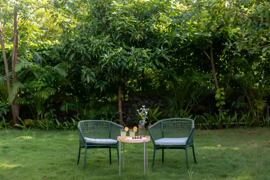 Firefly, Alibaug