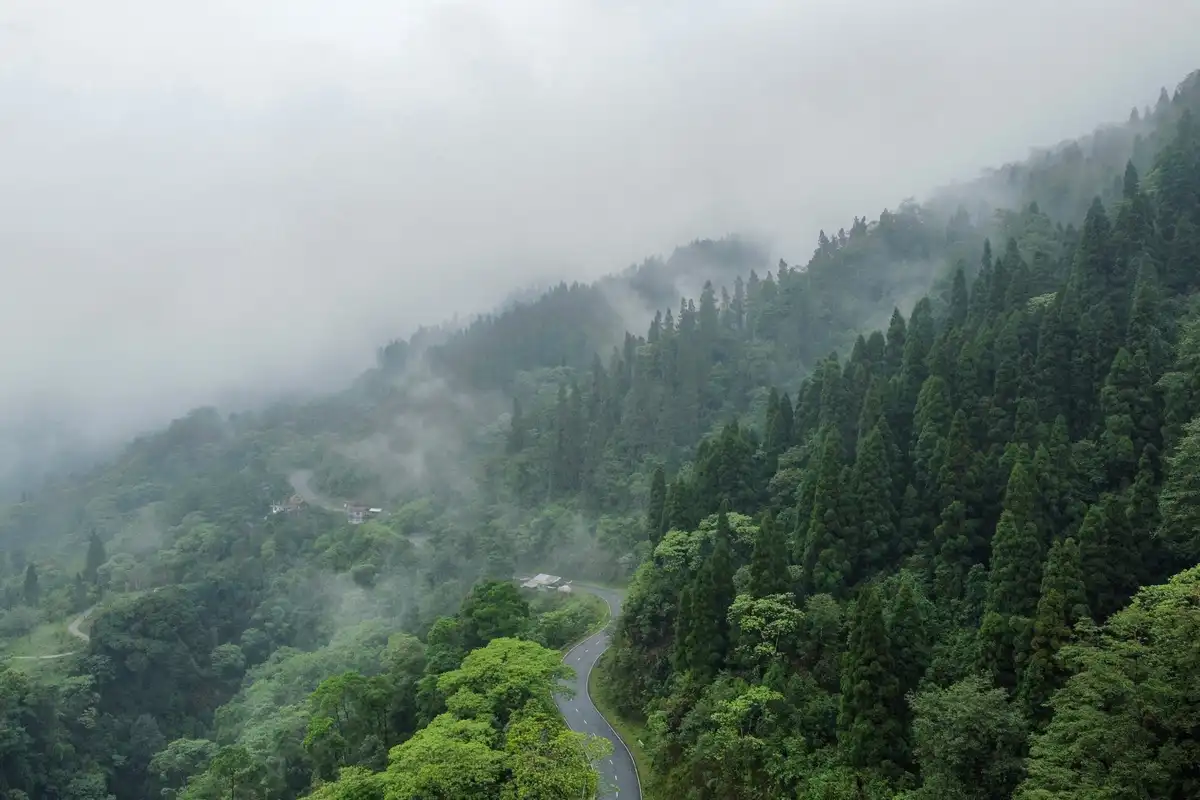 Forktail House, Kalimpong