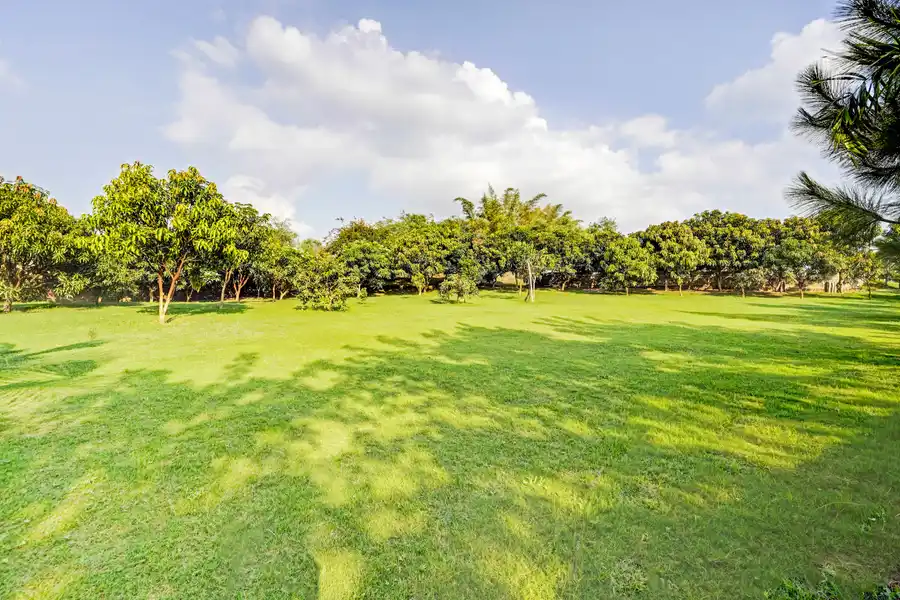 Fortezza, Delhi NCR