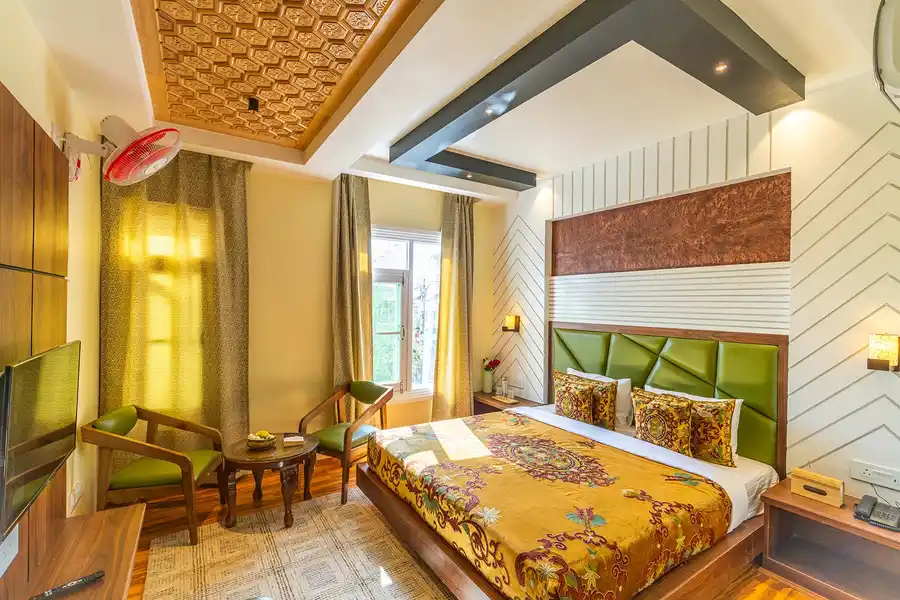 Gauhar w/ Indoor Jacuzzi, Srinagar