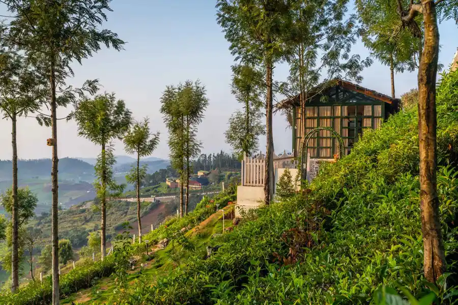 Glasshouse @ Under The Stars, Ooty
