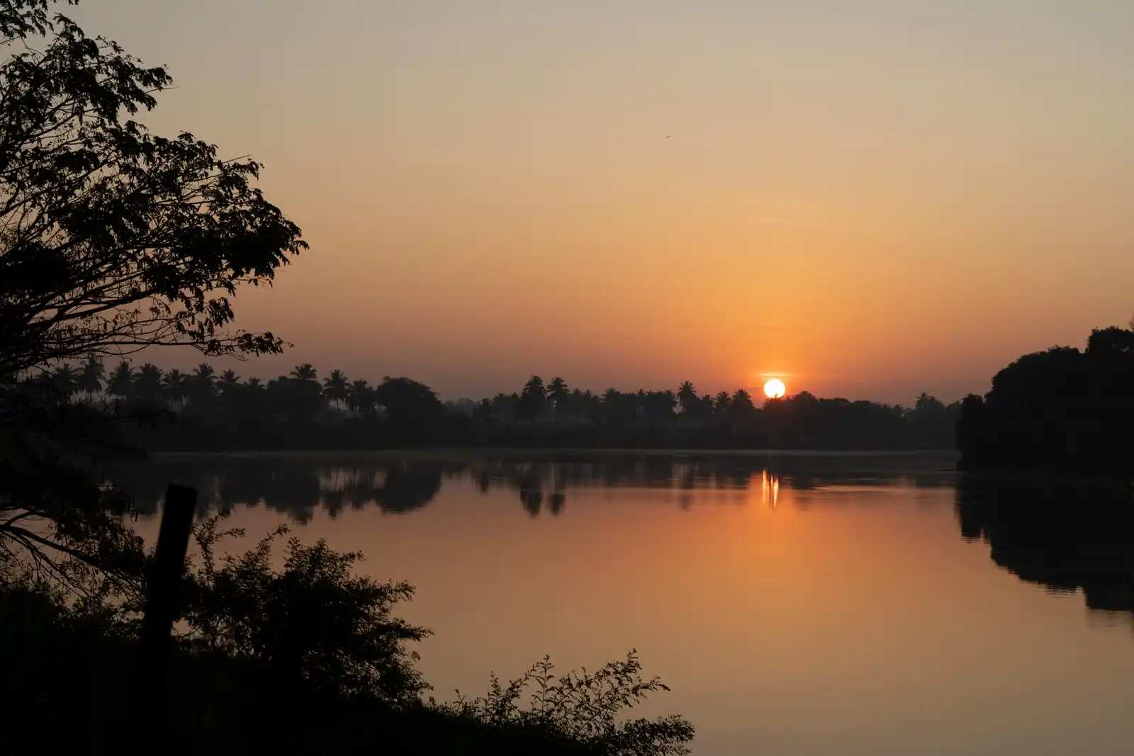 Glow @ Golden Apex, Kabini