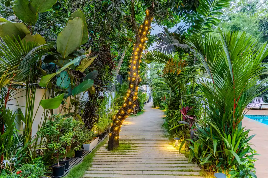 Goan Bliss Premium Room, South Goa