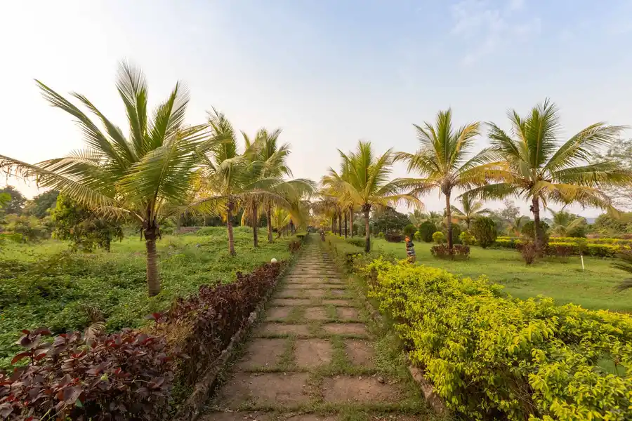 Goil Farms - Shahpur, Mumbai