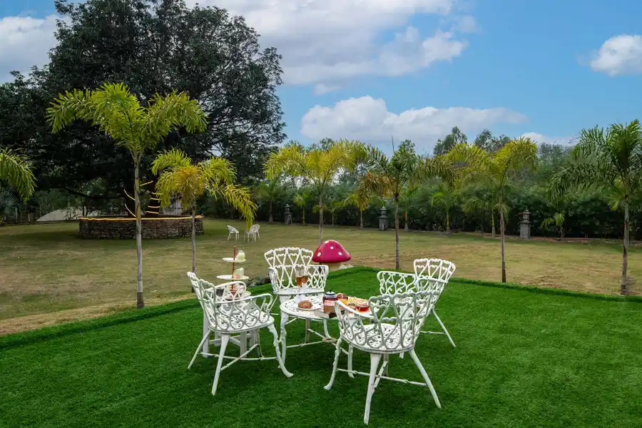 Golden Lark, Chandigarh