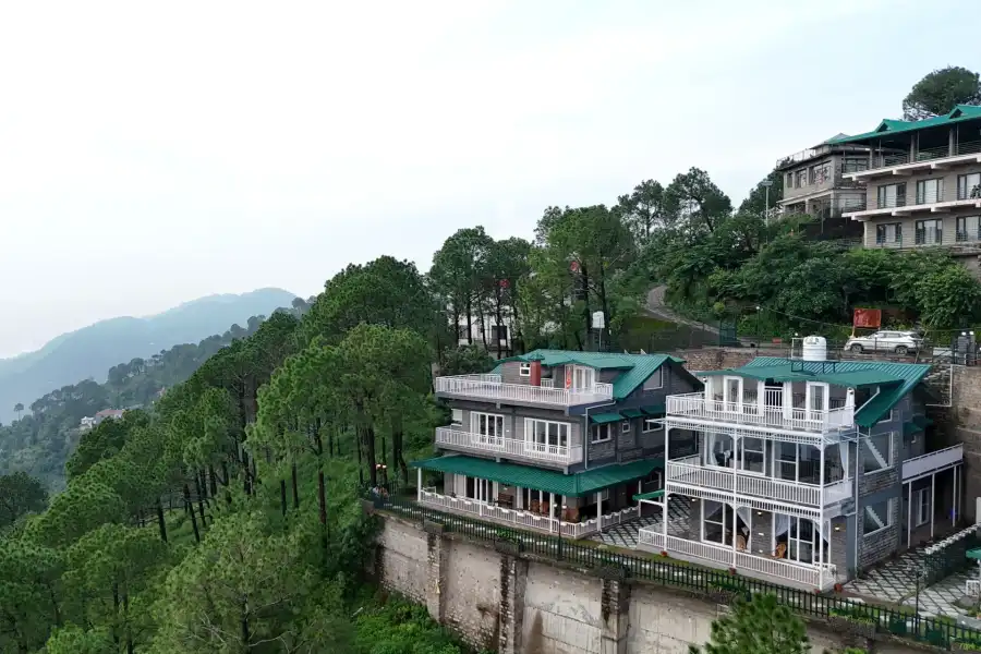 Goldencrest, Kasauli