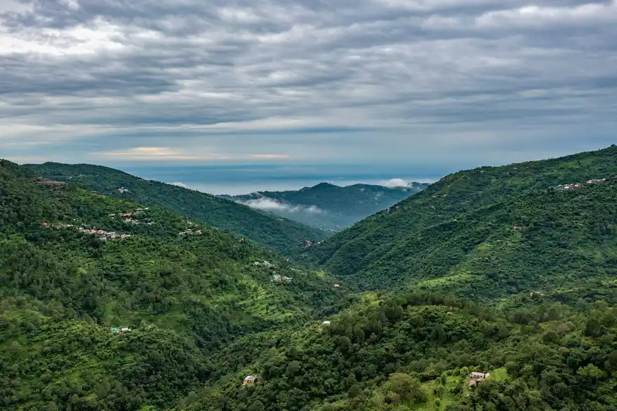 Gulmohar Estate, Kasauli