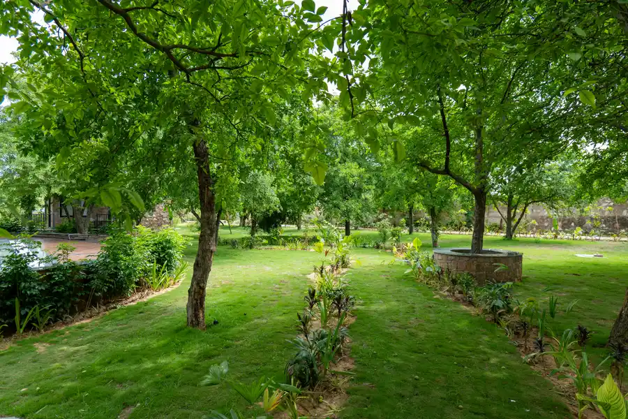 Hathnoda Bagh Calista, Jaipur