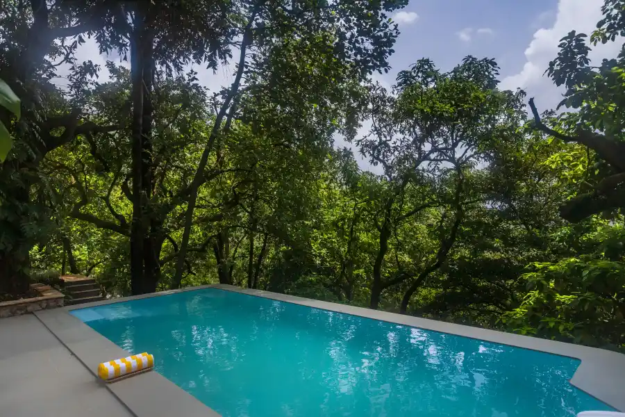 Hidden Branches, Khandala