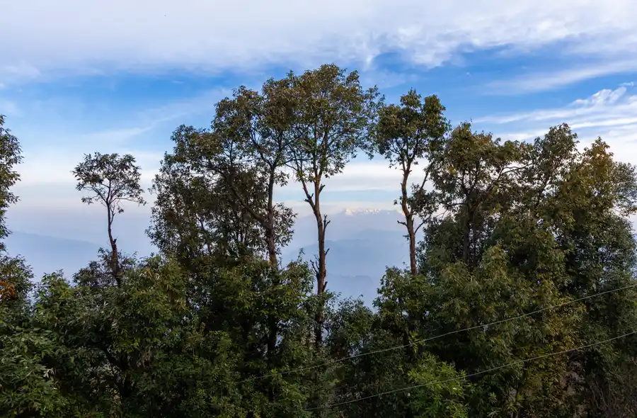 Hill Homes Cottages Mauve, Mukteshwar