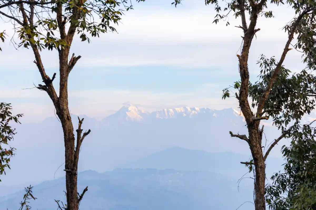 Hill Homes Cottages Mulberry, Mukteshwar