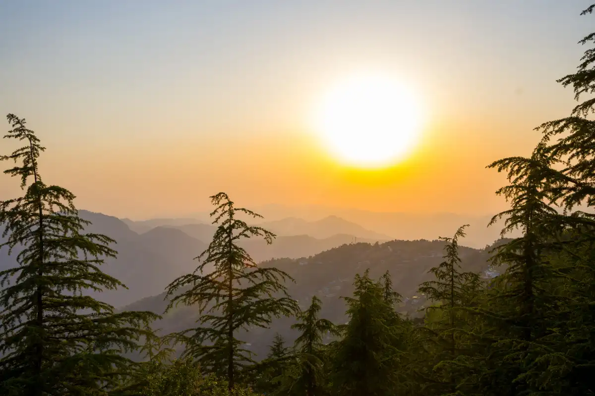 Hill Top Farmstead, Shimla
