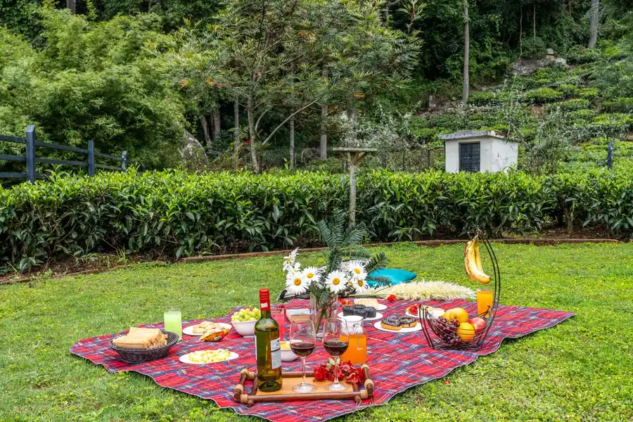 Hillcrest Serenity - Kotagiri, Ooty