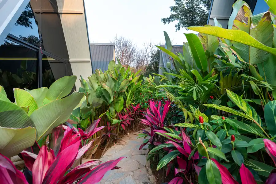 Inara Retreat, Bengaluru