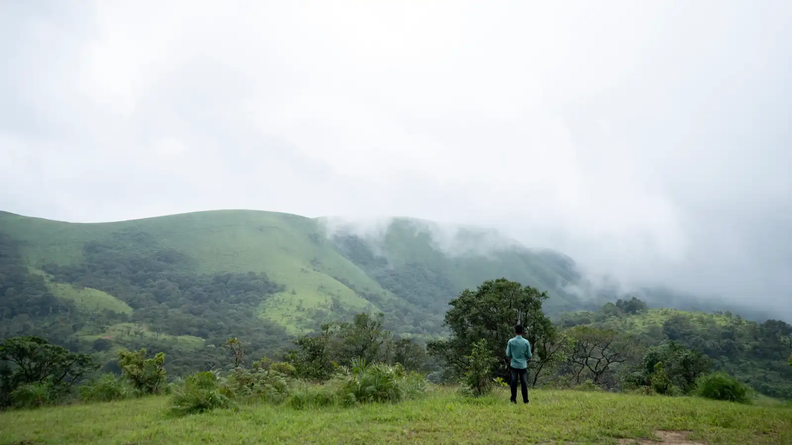 Jerdon's Perch, Sakleshpura