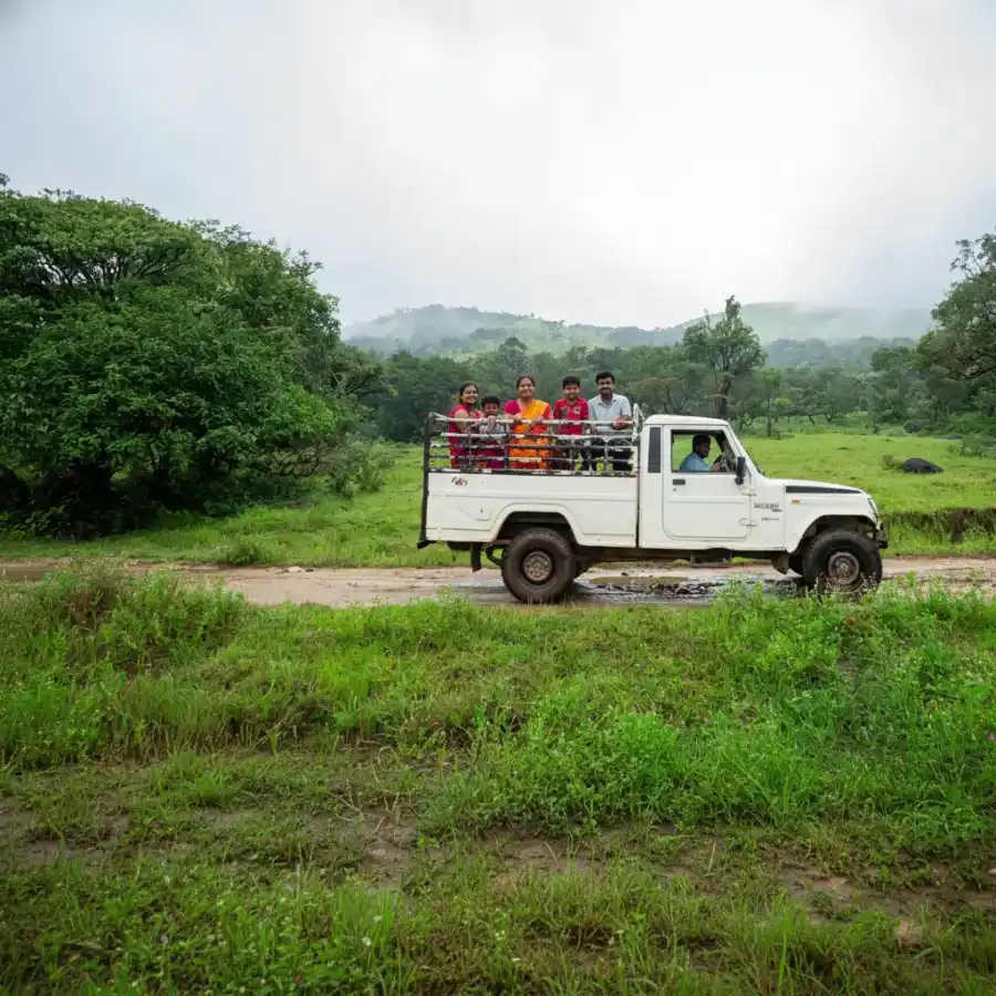Jerdon's Perch, Sakleshpura