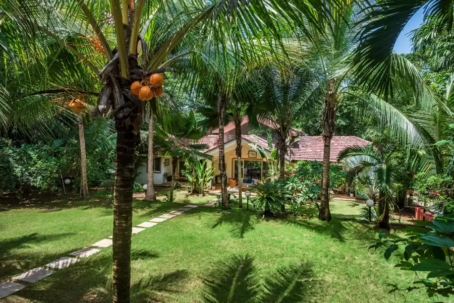 Junglebagh, Assagao, Assagao