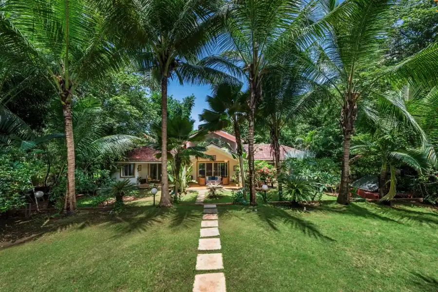 Junglebagh, Assagao, Assagao