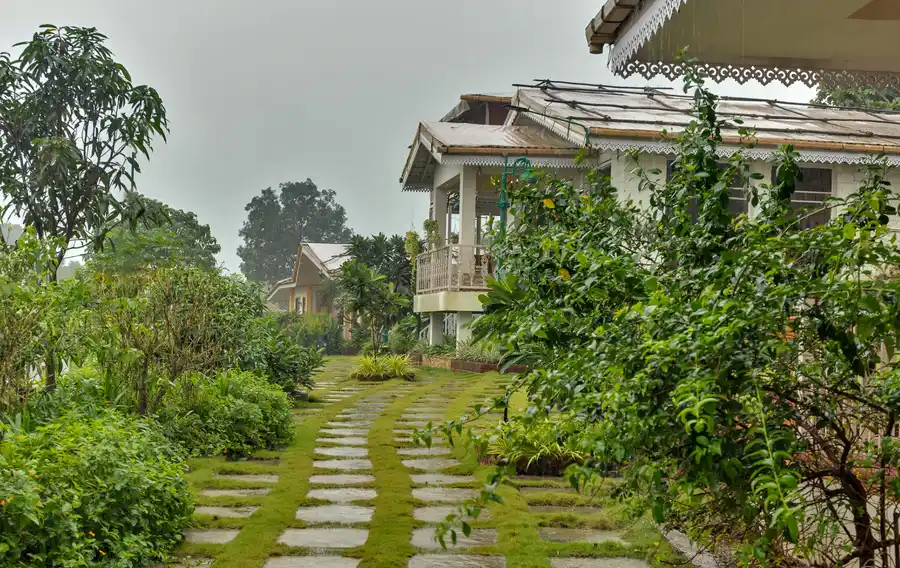 Junglebrooke interconnected, Kolad