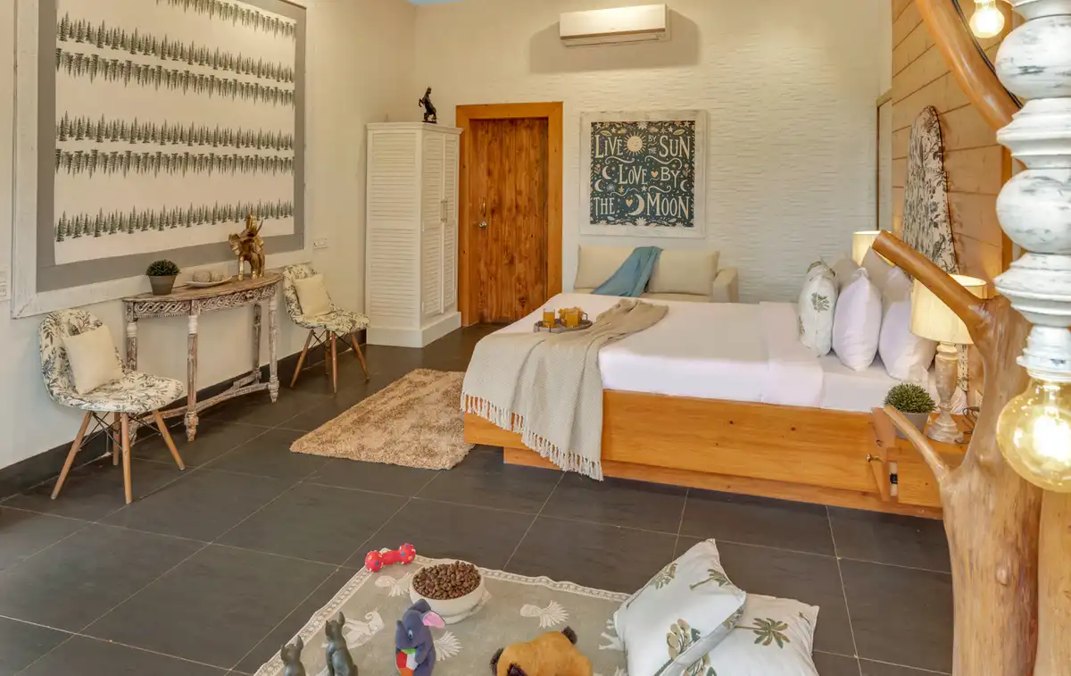 Junglebrooke Premium, Kolad