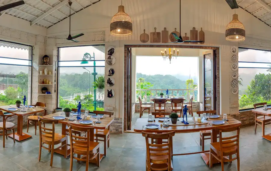 Junglebrooke Premium, Kolad