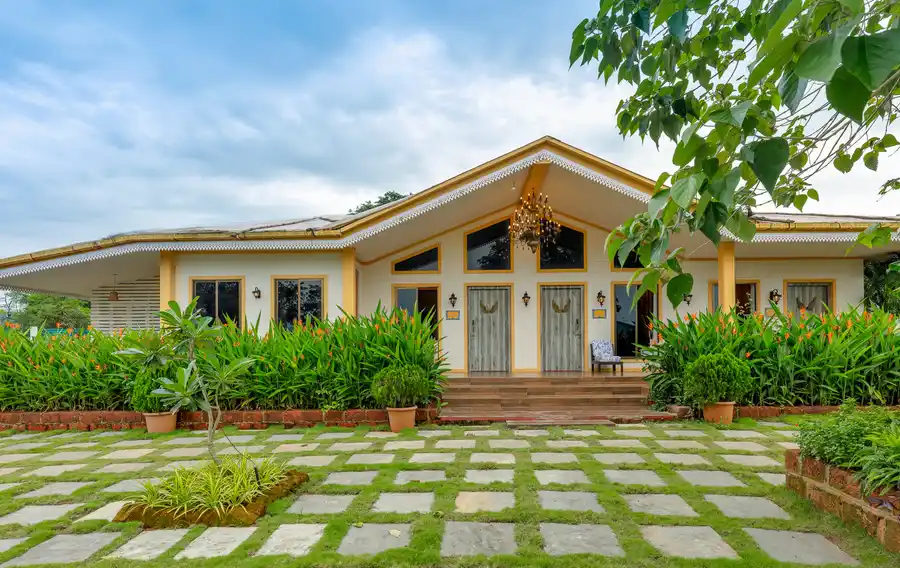 Junglebrooke Premium, Kolad