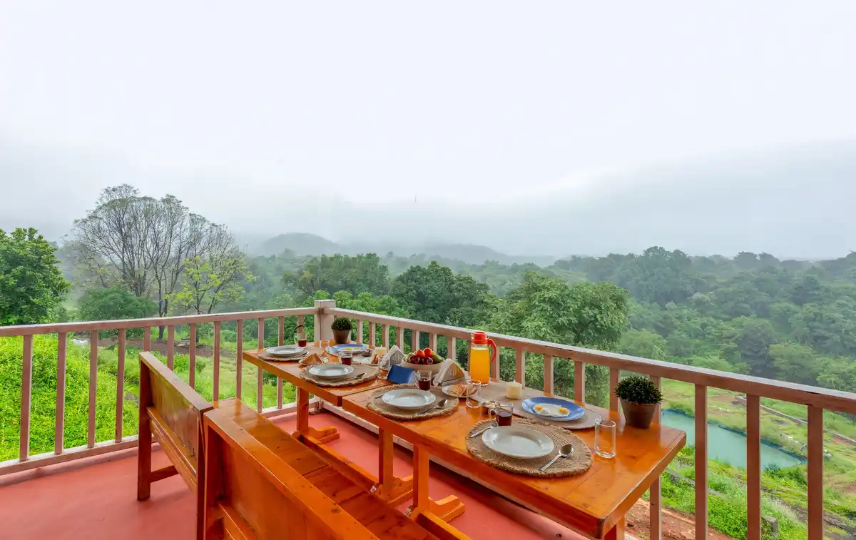 Junglebrooke Suite, Kolad