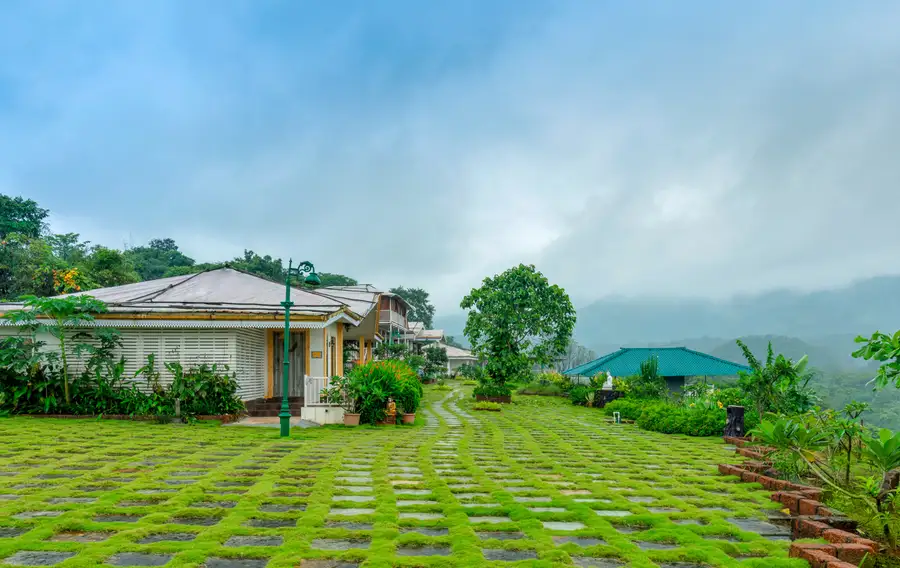 Junglebrooke Suite, Kolad