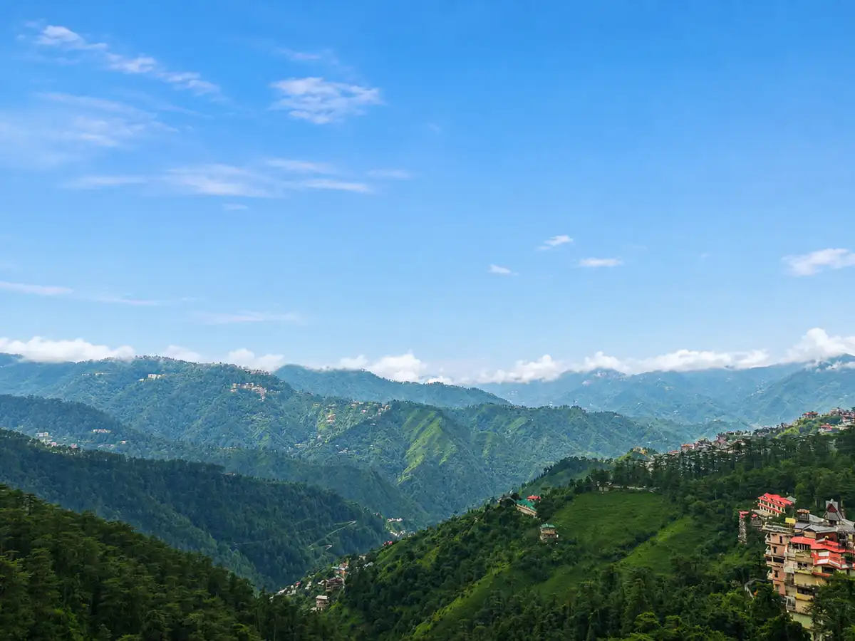 Juniper Holiday In Homestay, Shimla