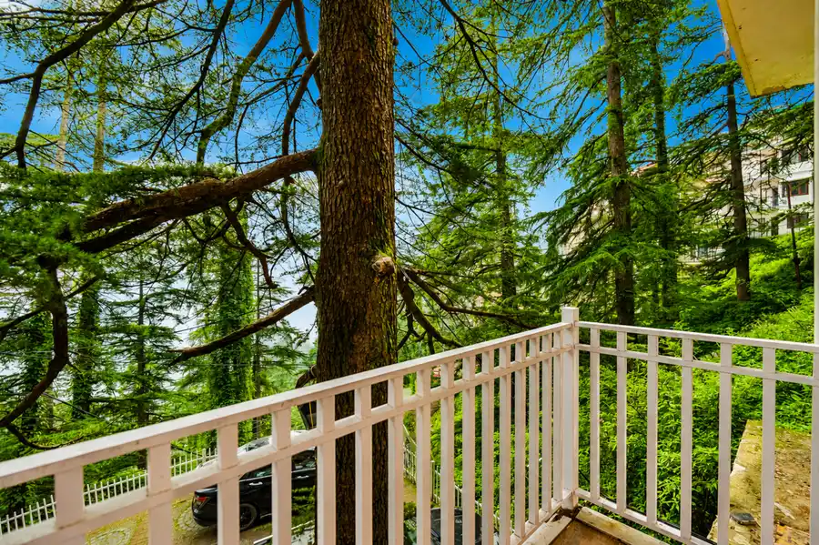 Kail Holiday In Homestay, Shimla