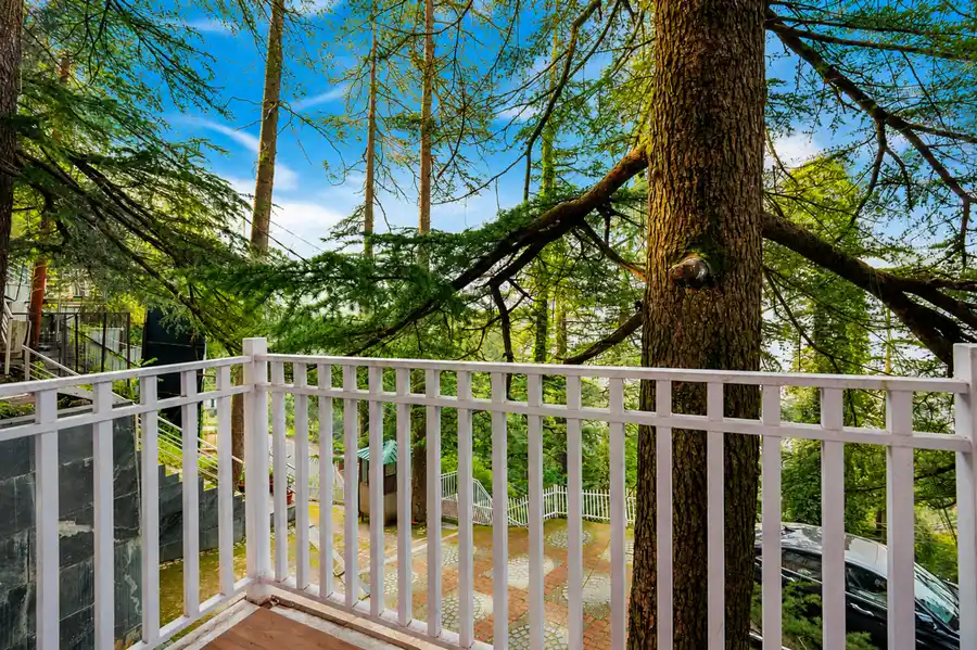 Kail Holiday In Homestay, Shimla