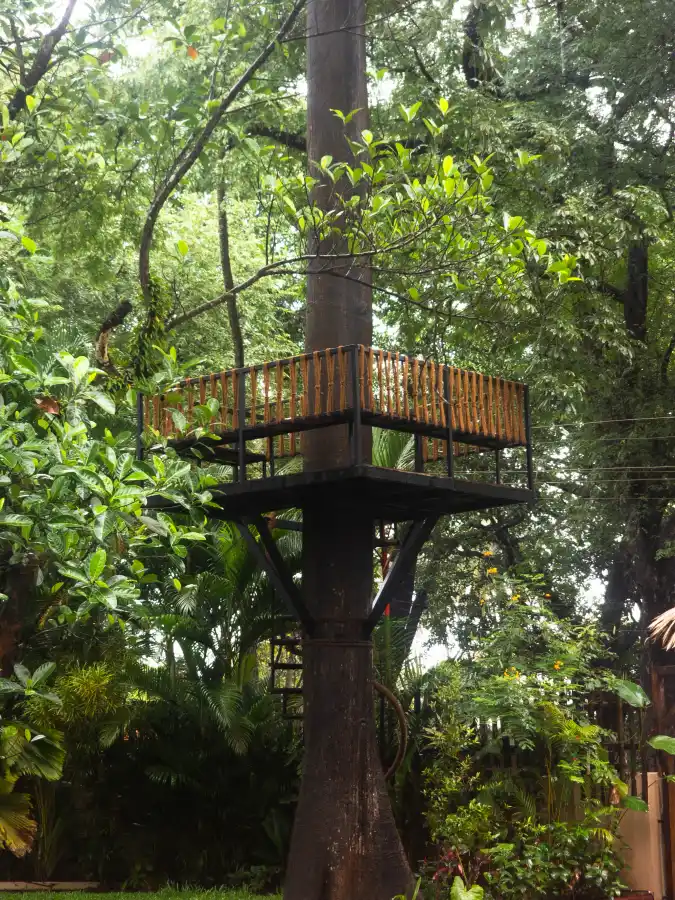 Kapok House, Anjuna, Anjuna