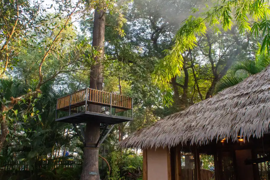 Kapok House, Anjuna, Anjuna