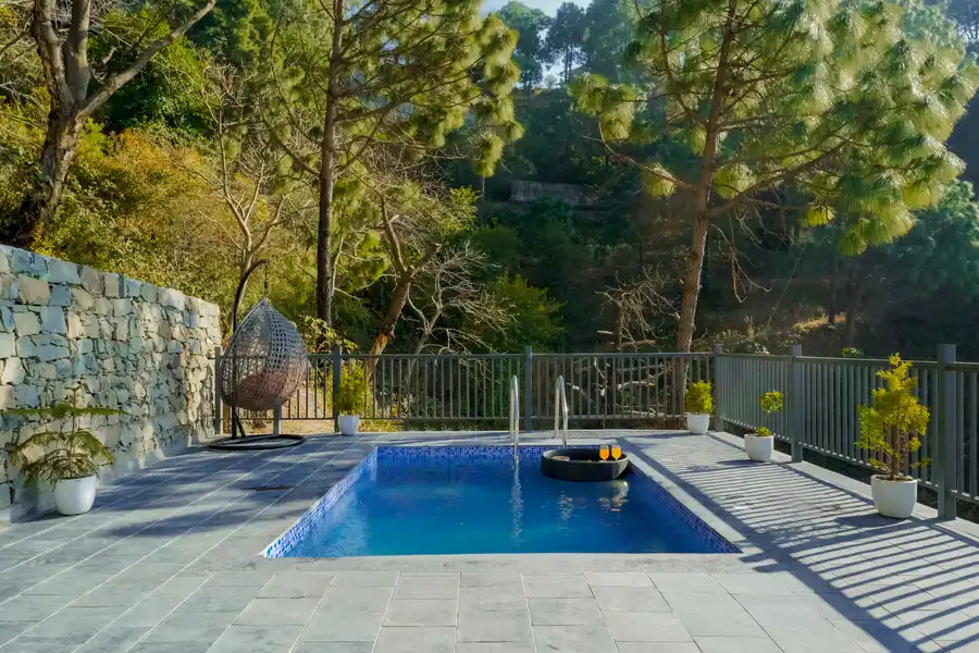 Konifer Greyvine, Kasauli