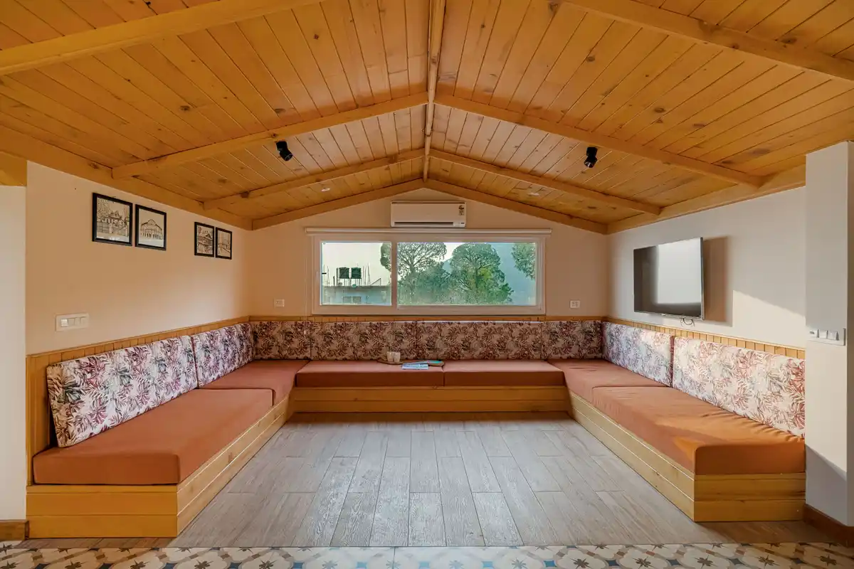 Konifer Greyvine, Kasauli