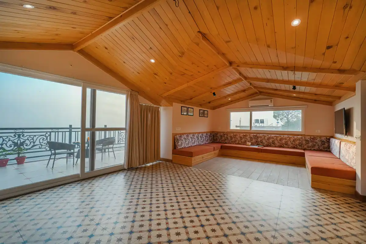 Konifer Greyvine, Kasauli