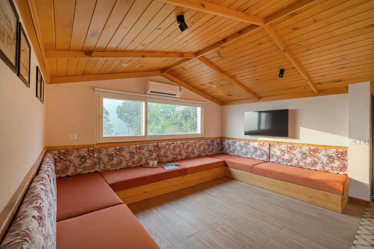 Konifer Pinegrove, Kasauli