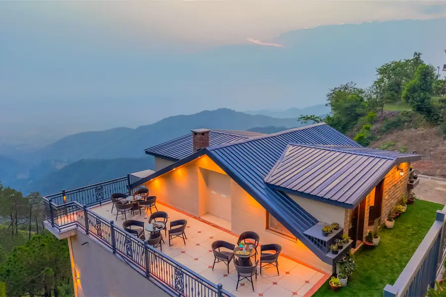 Konifer Wild Fern, Kasauli