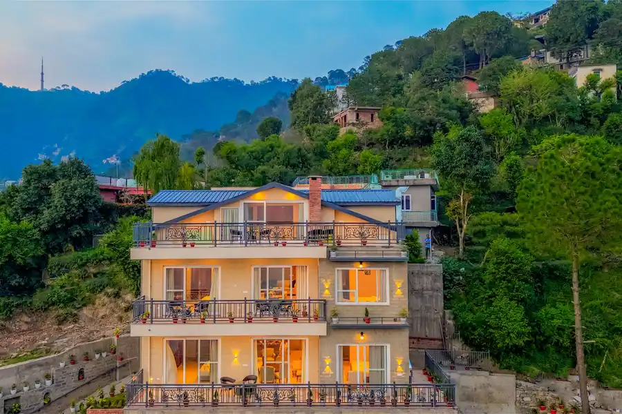 Konifer Wild Fern, Kasauli