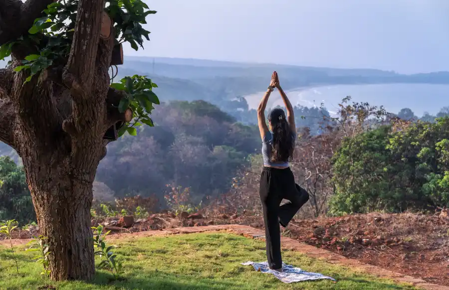 Konkan Kinara, Undi