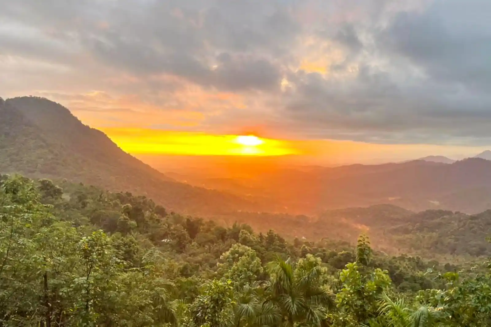 La Grove, Wayanad