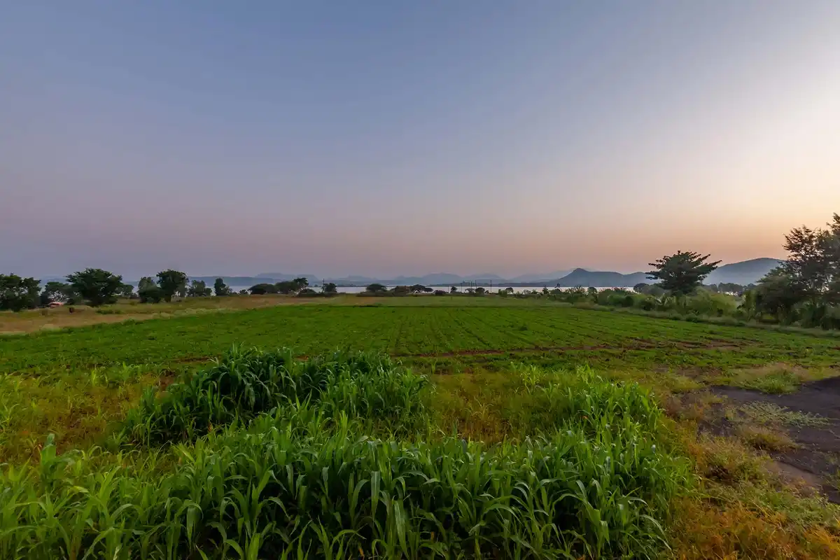 Lake La Vie, Nashik