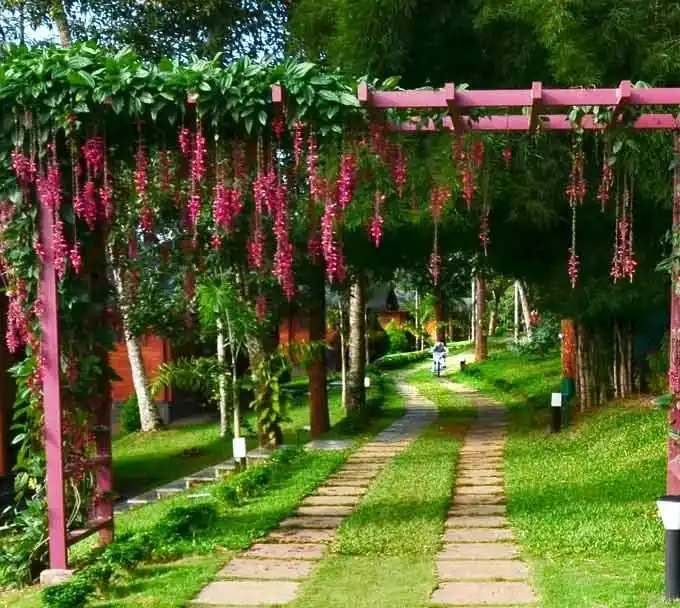 LakeRose Wayanad Resort Experiences