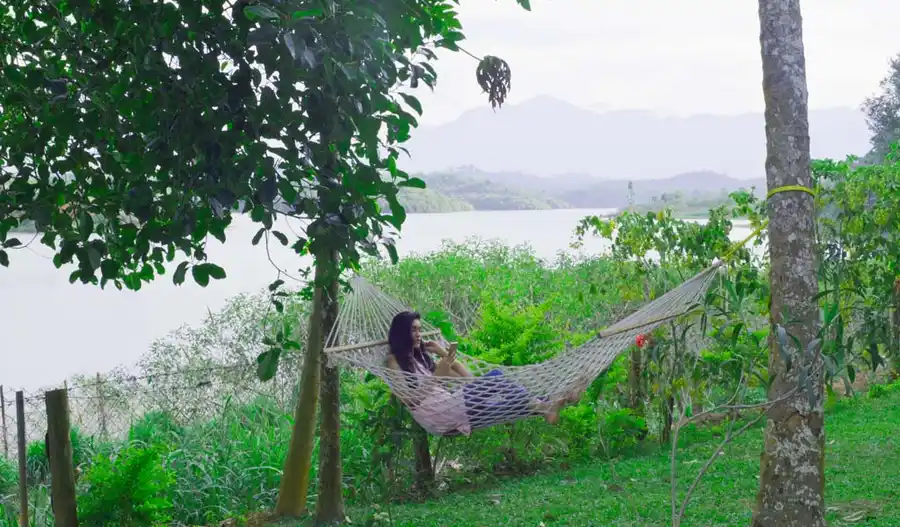 LakeRose Wayanad Resort Views
