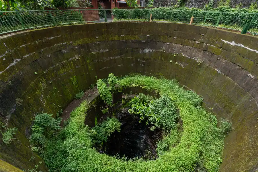 Laterite Grove, Karjat