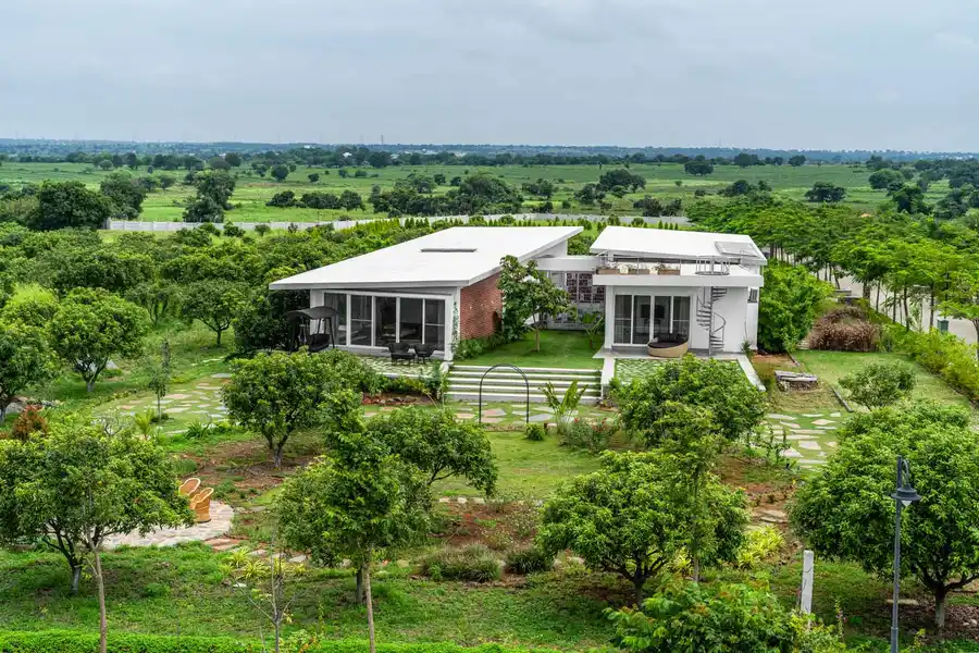 Lazy Mango, Hyderabad